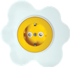 Priza schuko protectie copii